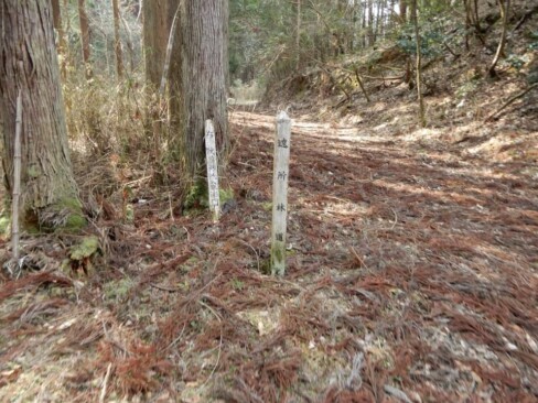 え~と、ここは・・・右の道ですね。