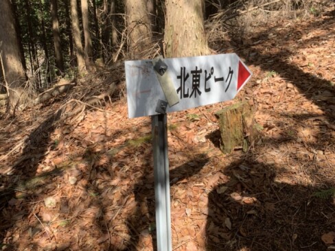 まず北東ピークを目指します。