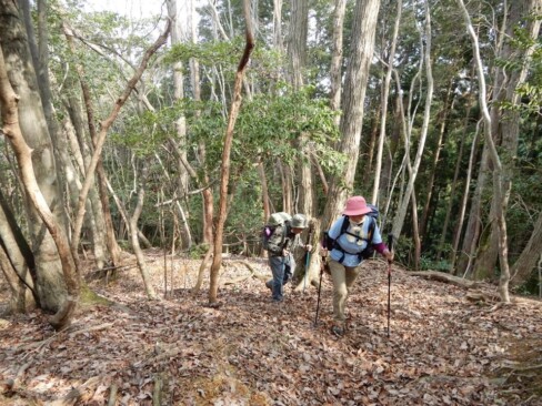 キツイ道が続きます。