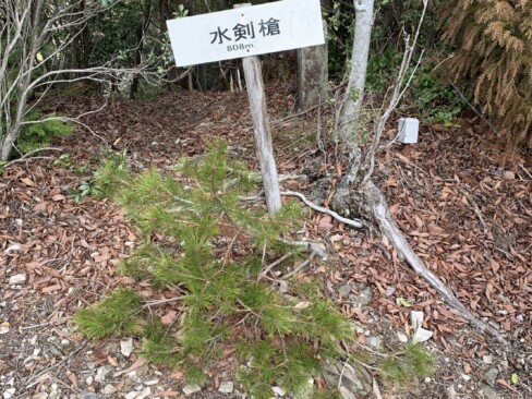 東尾根登山ルートの反射板のあるピークが「水剣槍」。「槍」という名の通り、尖ってます。