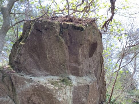 これは、何に見えるかなあ・・・想像するのも楽しい。