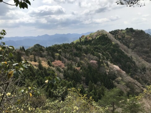 蛙子峰の先の岩場から、珪石山方面。芽吹き初めの木々と山桜・・うっとりする山の色です。