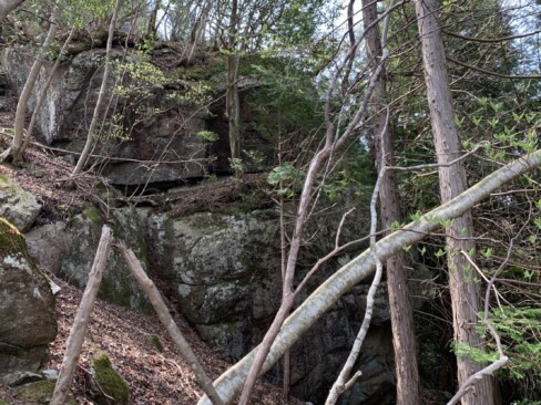 尾根に出る分岐付近には、巨石群があります。