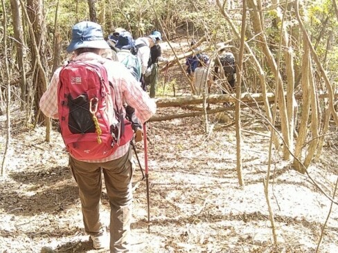 さあ、下りますよーーー。下りは山道も歩いてみました。