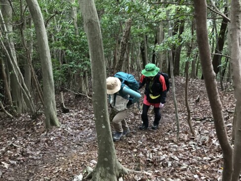 一歩一歩、確実に進みます。