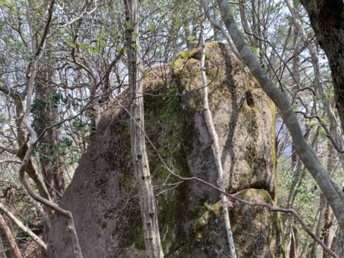 口をきゅっと閉じた顔のようにも見える・・・