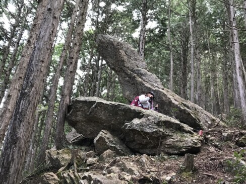 イルカ岩だそうな。飲み込まれるーーーー。