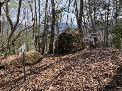 そして分岐到着