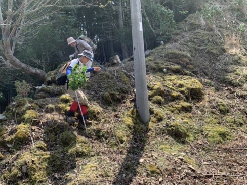 さあ、下山します。宍粟はやっぱり急ですねえ。