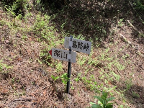 ここから急な登りになります。