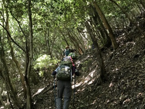 植林帯を過ぎると、ジグザグの急登!!