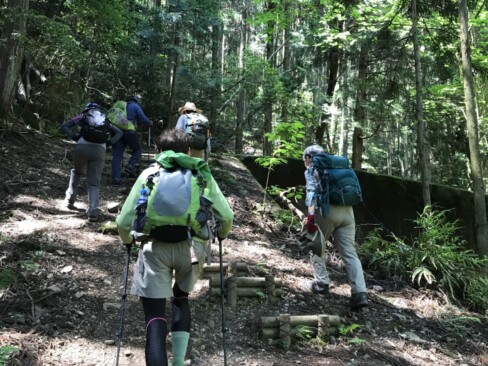 登山口に入ると、しばらくは階段があります。