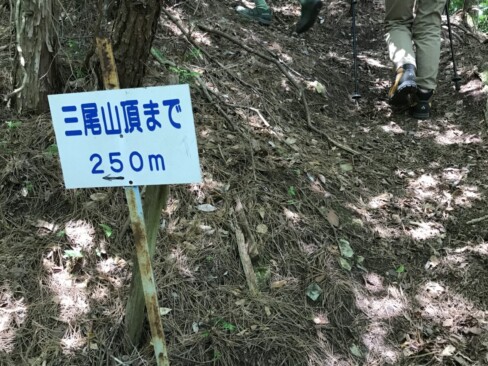 中三尾への急な登りに入ります。左手に迂回路あり。