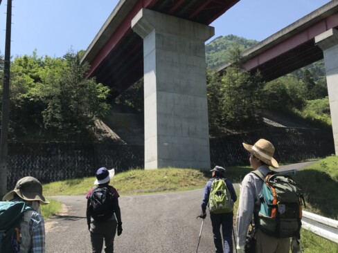 舞鶴若狭道の下をくぐります。今日はいい天気。