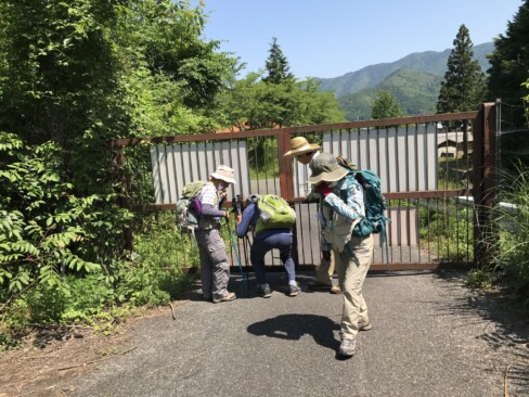 獣除けの柵を開けて進みます。