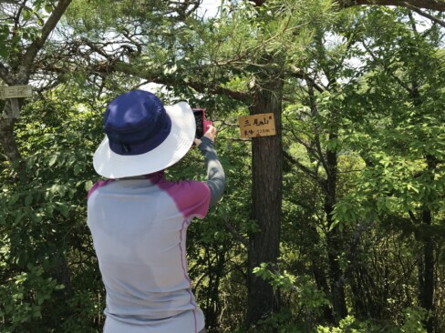 鞍部から5分ほどで前三尾(東峰)に。展望ばっちり。