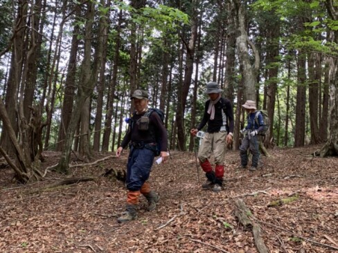 今日も元気いっぱい歩きます。