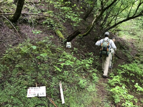 急こう配の尾根を見送り、一般登山道へ!!