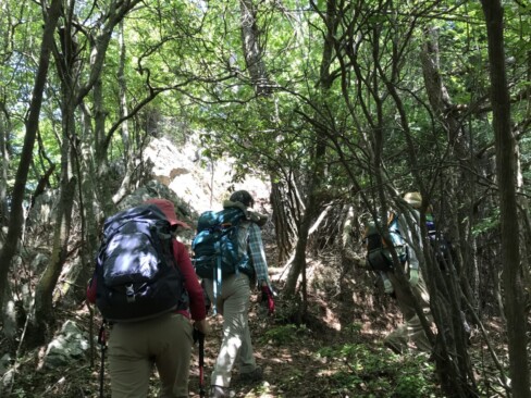 激下りからの登り返し・・・露岩の目立つやせ尾根が続きます。