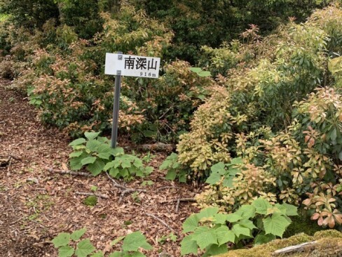 南深山のほうが標高が高いのですね。