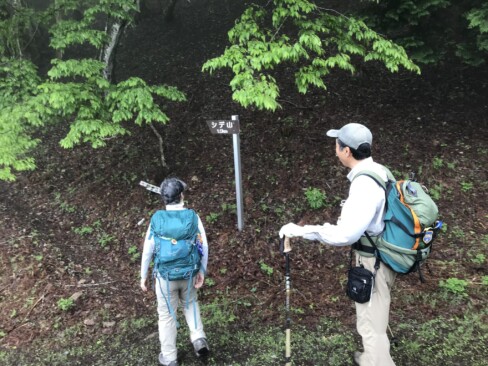 新登山道に入ります。