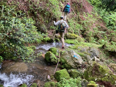 渓谷コースは、どぼんポイントがいっぱい。でも軽々飛び越える山の先輩たち✌