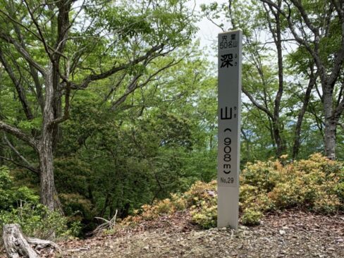 深山山頂は展望はないので、南深山に向かいます。