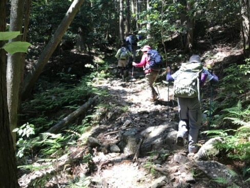 谷川に沿って登っていきます。岩がゴツゴツです。