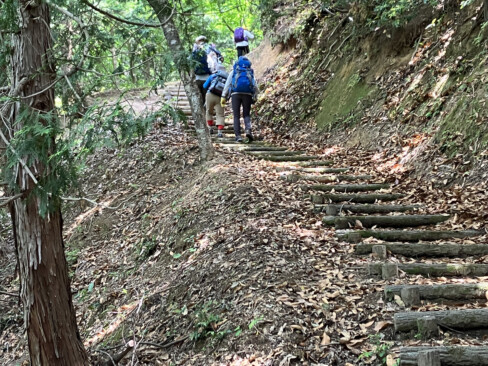 登山道に入るとすぐに山頂まで天女の語呂合わせ、1010段の階段が始まります。