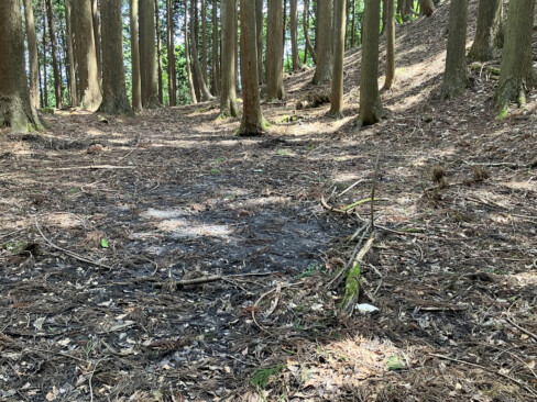 <女池>
池と呼ぶほどの水量は無く、意識していなければ見過ごしてしまいそうです。