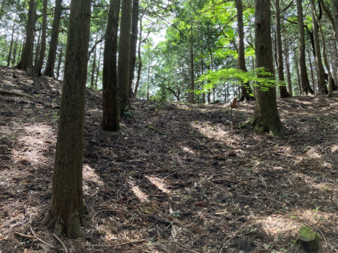 池の周りは樹々に囲まれ、すり鉢状の窪地になっています。