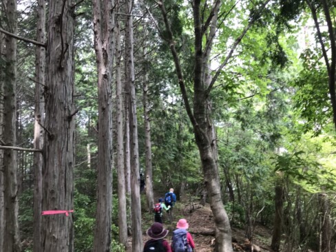 やっと歩きやすいところに来ました