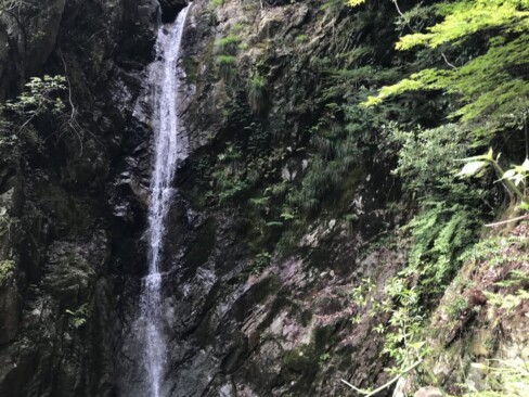 そして、独鈷の滝。落差約18mとのこと。