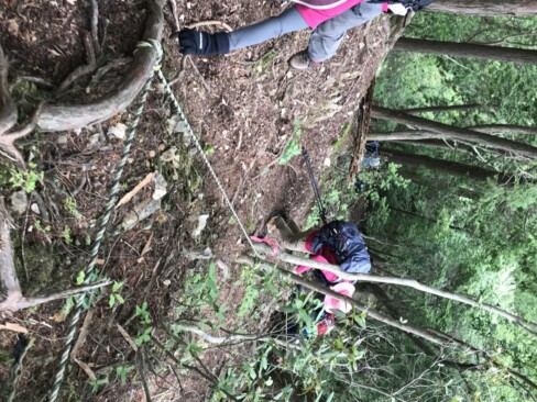 激下りが延々と続きます。