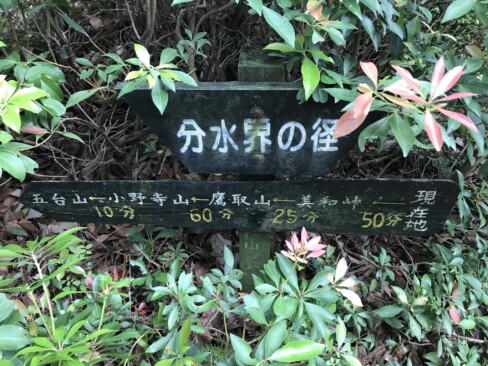 「分水界の径」の標識。今日は、美和峠から独鈷の滝へ下ります。