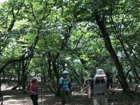 ウグイスの声に見送られながら下山します。