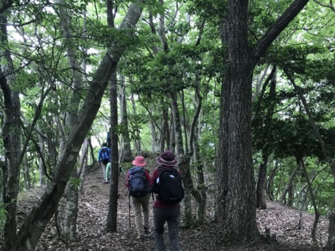 千丈寺山に向けて歩きます。