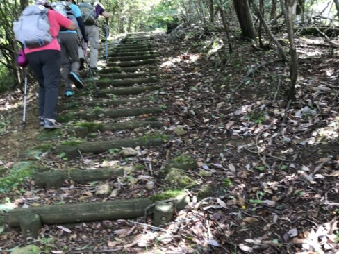こちらのルートは階段がつらい。みんな、階段を外して登ってます。