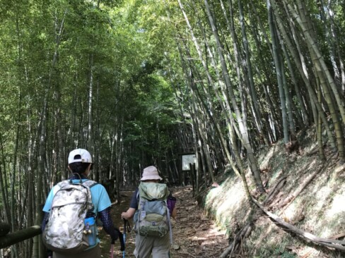 竹の緑がすがすがしい!(^^)!