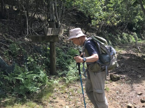 この分岐を左に行けば西峰です。