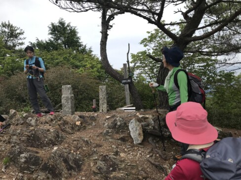 五大山からは藤で有名な白毫寺に続くルートがあります。