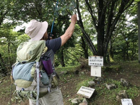 西峰到着です。「東京スカイツリーとほぼ同じ高さ」とアピールしています。