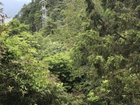 次に目指す愛宕山です。近そうに見えますが・・・