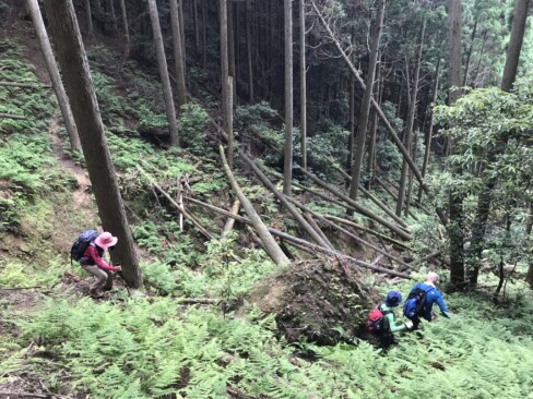 崩落地①登山道が崩れていて、いったん下りていきます。