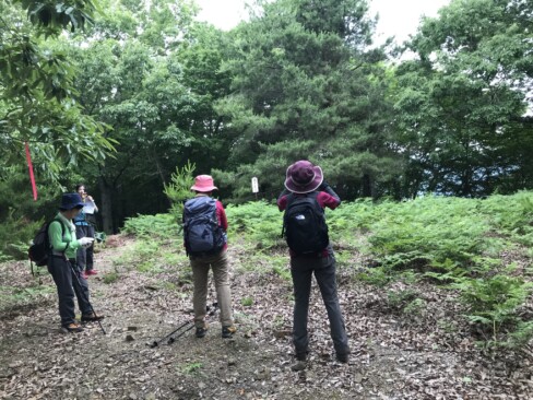 やっと西の丸到着。開けているけど眺望はありません。