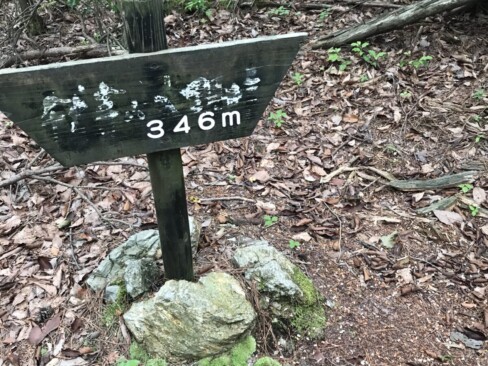 見づらいですが・・「千丈寺山」到着。標高346mしかないのですが、きつかった(*'▽')