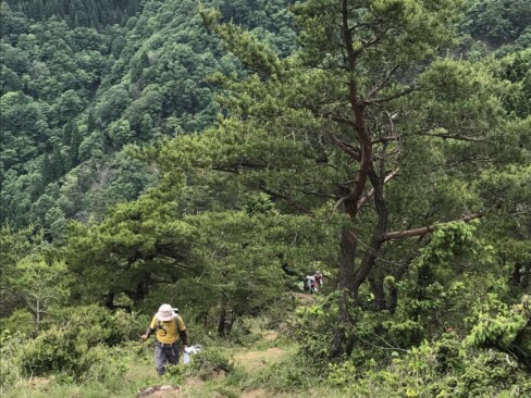 鳩ケ峰への登り。ゴミの入った袋が重い・・・。