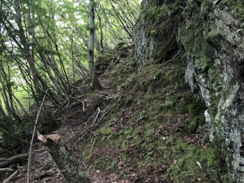 振り返ると、急・岩・根っこ・・・黒井城からの下りはきびしい!!