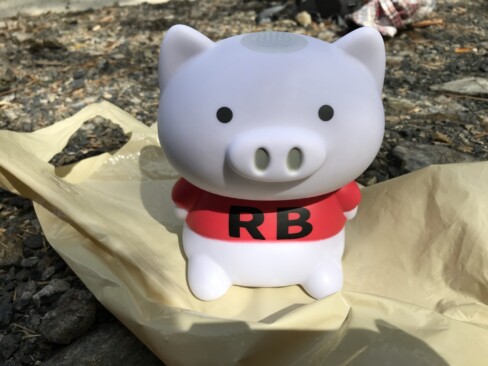 ラジオ体操のお供は、かわいいブーブーちゃん🎵