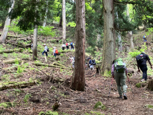 約600㍍の高度差の登りが続きます。